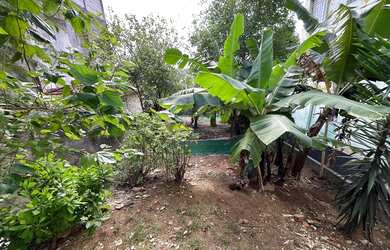 Imagem 2: PREDIO COMERCIAL em São Paulo - SP, Vila Maria Alta