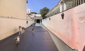 Imagem 3: CASA RESIDENCIAL em São Paulo - SP, Campo Belo