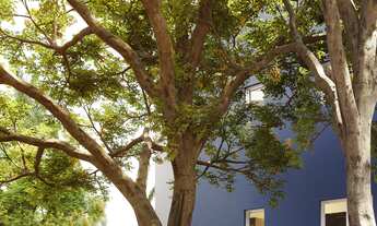 Imagem 5: Imóvel à venda em Mogi das Cruzes-SP: Cobertura ampla no Jardim Rodeio com 3 quartos, 1 su