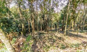 Imagem 6: TERRENO RESIDENCIAL em Taboão da Serra - SP, Condomínio Iolanda