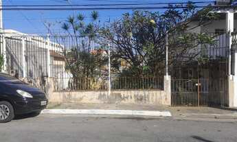 Imagem 2: TERRENO RESIDENCIAL em São Paulo - SP, Vila Portuguesa