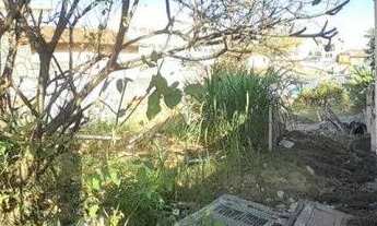 Imagem 5: TERRENO RESIDENCIAL em São Paulo - SP, Vila Portuguesa