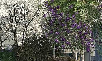 Imagem 2: Sala à venda no bairro Vila Gertrudes - São Paulo/SP