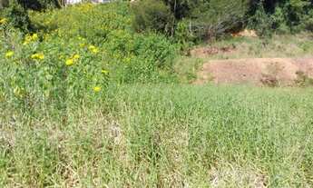 Imagem 4: Terreno à venda no bairro Centro - Camboriú/SC