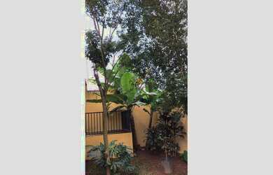 Imagem 6: Casa à venda no bairro Santa Rita do Sapucaí - Santa Rita do Sapucaí/MG