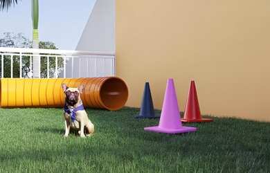 Imagem 13: Griffe Club Vila Real