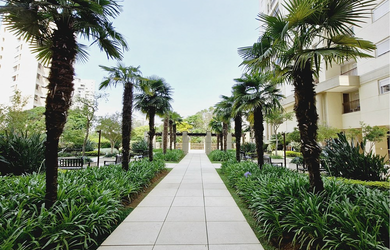 Imagem 11: APARTAMENTO RESIDENCIAL em São Paulo - SP, Panamby