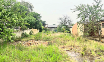 Imagem: Na Rua Bartolomeu De Gusmão