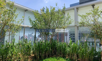 Imagem 7: SALA COMERCIAL em São Paulo - SP, Pinheiros