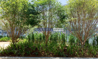 Imagem 6: Sala comercial à venda em São Paulo, Pinheiros, 46m²