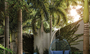 Imagem 6: 1 dormitório na Rua Doutor Jesuíno Maciel