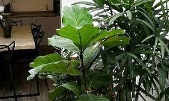 Imagem 3: Casa em Condomínio à Venda em Santa Teresinha, São Paulo-SP: 3 Suítes, 2 Vagas, 242 m²!