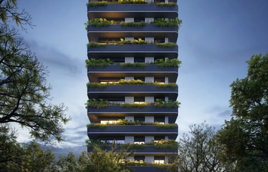 Imagem 2: 3 dormitórios na Rua Professor Langendonck