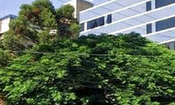 Imagem: Na Avenida Cristóvão Colombo