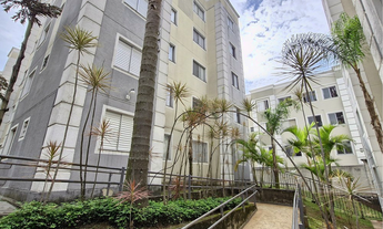 Imagem 3: 2 dormitórios na Rua Engenheira Amália Pérola Cassab