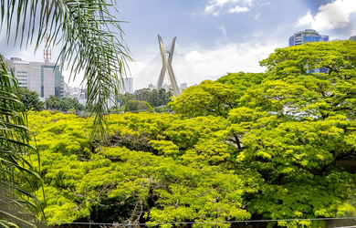 Imagem 8: 2 dormitórios na Avenida Jurubatuba