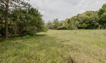 Imagem 2: Na Estrada Do Rincão