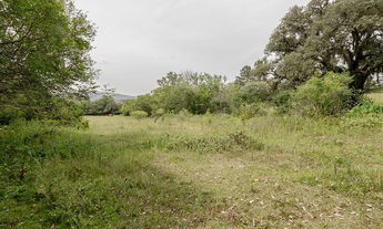 Imagem 7: Na Estrada Do Rincão