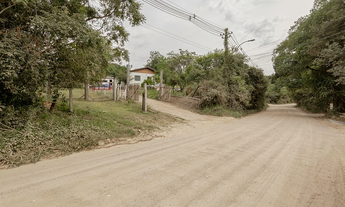Imagem 6: Na Estrada Do Rincão