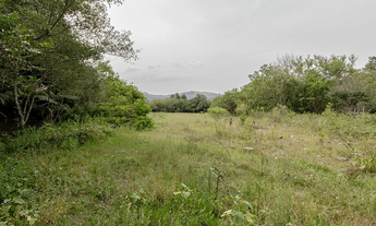 Imagem 5: Na Estrada Do Rincão