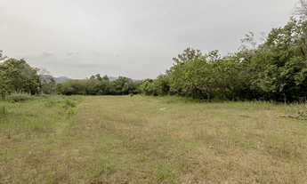 Imagem 4: Na Estrada Do Rincão