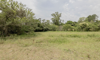 Imagem 3: Na Estrada Do Rincão