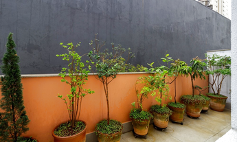 Imagem 4: 3 dormitórios na Rua Catão