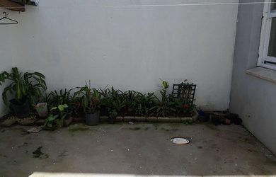 Imagem 5: 2 dormitórios na Avenida Venâncio Aires