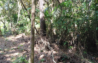 Imagem 6: TERRENO RESIDENCIAL em Penha - SC, Centro