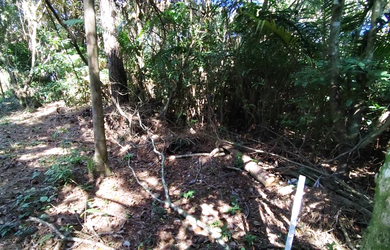 Imagem 7: TERRENO RESIDENCIAL em Penha - SC, Centro