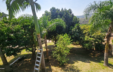 Imagem 6: 3 dormitórios na Avenida Serra Do Espigão