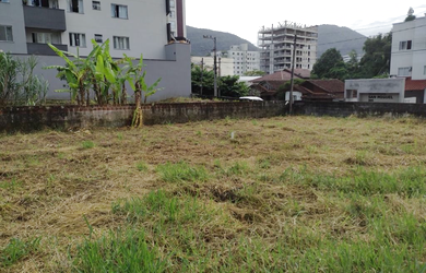 Imagem 2: NBLJ 33 Lote TE0408 - NBLJ 33 Lote TE0408