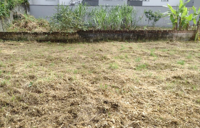 Imagem 5: NBLJ 33 Lote TE0408 - NBLJ 33 Lote TE0408