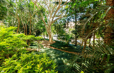 Imagem 3: 3 dormitórios na Rua Quintino Bocaiúva