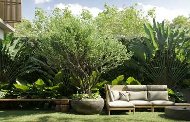 Imagem 7: Casa Jardim Dona Elisa