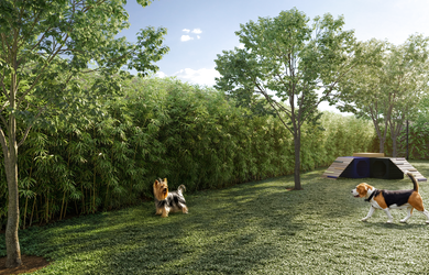 Imagem 7: 1 dormitório na Rua Vergueiro