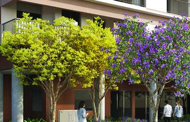 Imagem 3: Apartamento à venda na Vila Romana, São Paulo-SP: 1 quarto, 1 suíte, 1 banheiro, 25m² de á