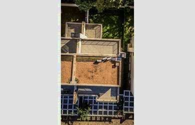 Imagem 6: 3 dormitórios na Rua Doutor Ney De Castilhos Ferreira