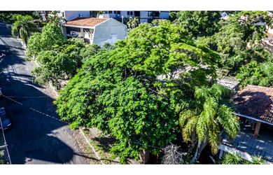 Imagem 5: Na Rua Miguel Couto