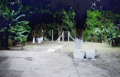 Imagem 3: Na Rua Dario Totta