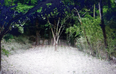 Imagem 4: Na Rua Dario Totta