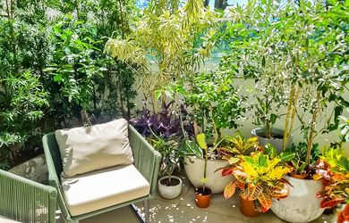 Imagem 12: 2 dormitórios na Rua Dona Amélia