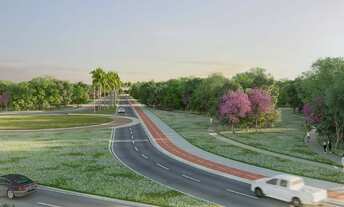 Imagem 5: Na Avenida Panorâmica