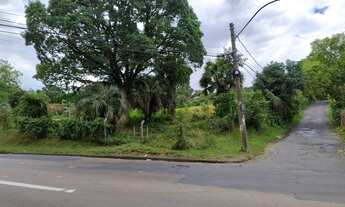 Imagem: ADMDTM 1354 Lote 612481080-23 - Terreno