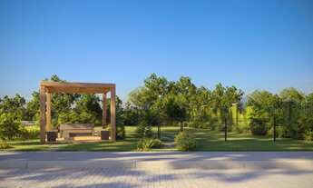 Imagem 7: Na Avenida Armando Fajardo