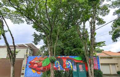 Imagem 5: Na Avenida Diógenes Ribeiro De Lima