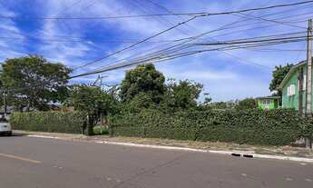 Imagem: NODJ 937 Lote 612651056-1 - Terreno à venda