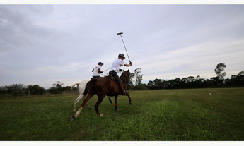 Imagem 6: Sítio à venda em Viamão, São José, 20000m²