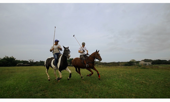 Imagem 5: Sítio à venda em Viamão, São José, 20000m²