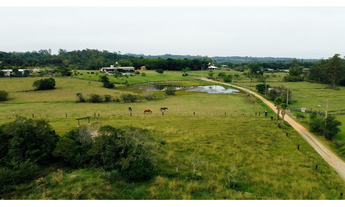 Imagem 4: Sítio à venda em Viamão, São José, 20000m²